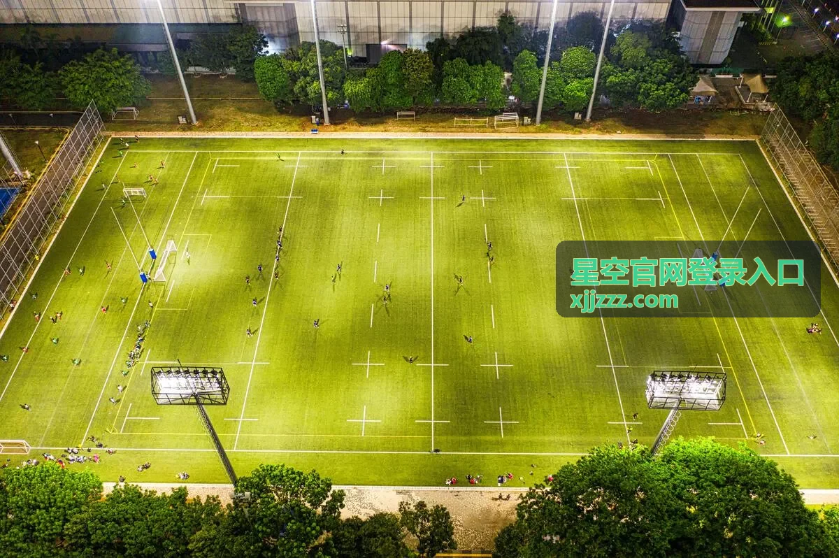 星空官网登录入口官方入口服务概况说明
